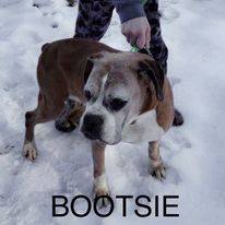 Bootsie