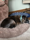 Lady - Photo 1