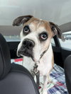Miss Sammy - Photo 1
