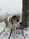 Miss Sammy - Photo 3