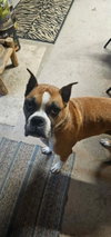 Zoey