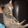 One Eyed Jack - Photo 3