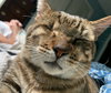 One Eyed Jack - Photo 4