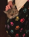 One Eyed Jack - Photo 5