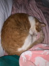 George C - Photo 2