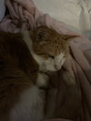 George C - Photo 3