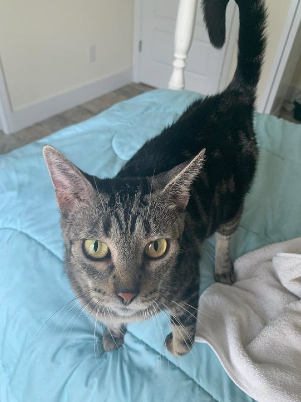 Mama-Molly Girl