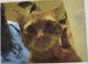 Zak - Photo 5
