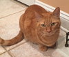 Zak - Photo 3