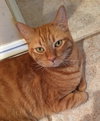 Zak - Photo 2