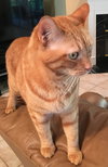 Zak - Photo 4