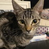 Sassy Evelyn - Photo 3