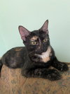 Izzy - Photo 3