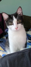 Dusty - Photo 3