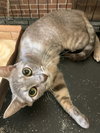 Shelly - Photo 2