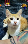 Steve - Photo 3