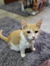 Steve - Photo 4