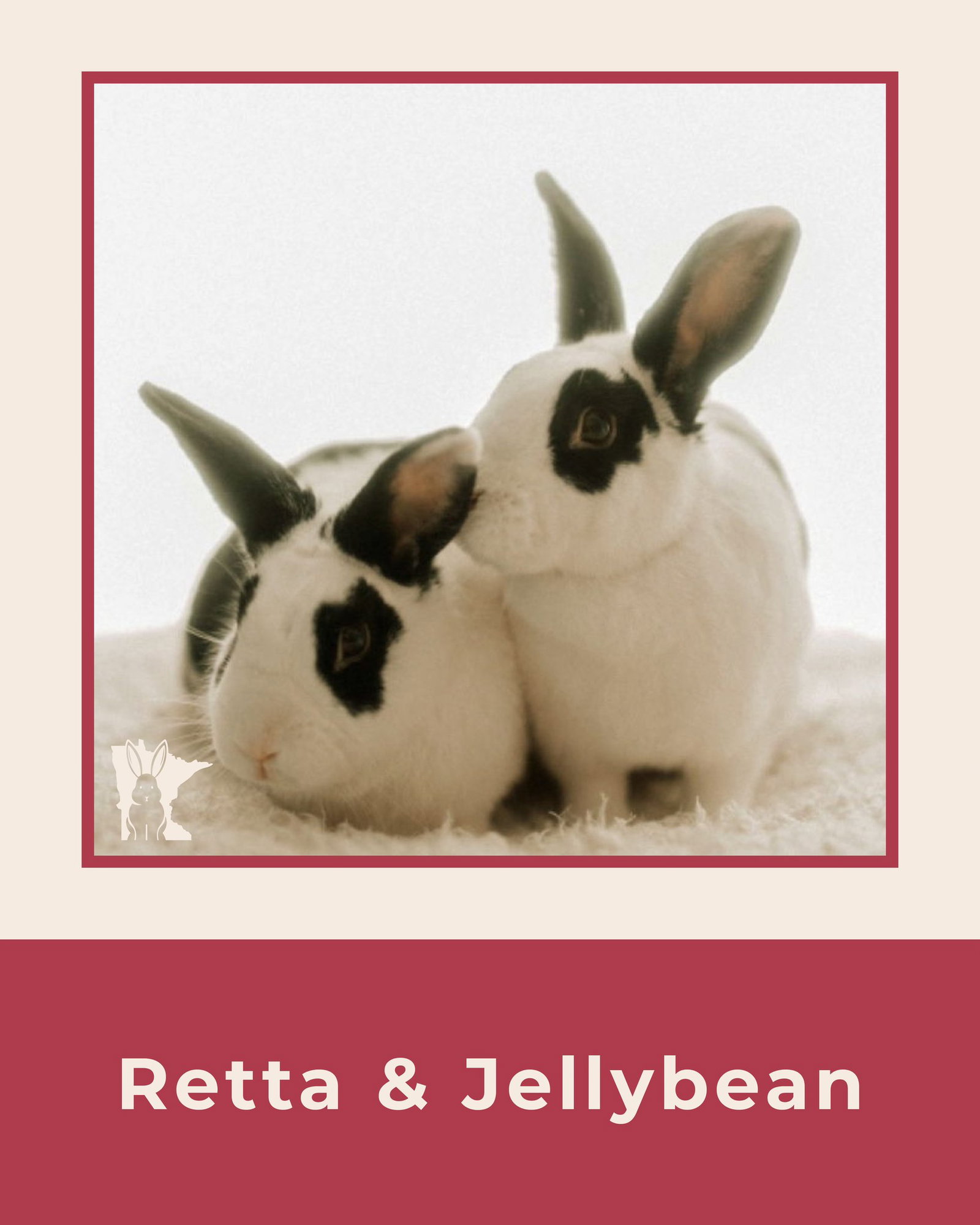 Jelly Bean, photo 4