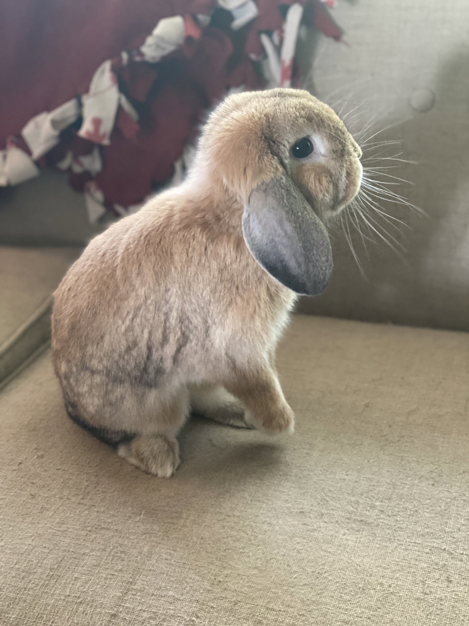 Reginald AKA "Regi", photo 10