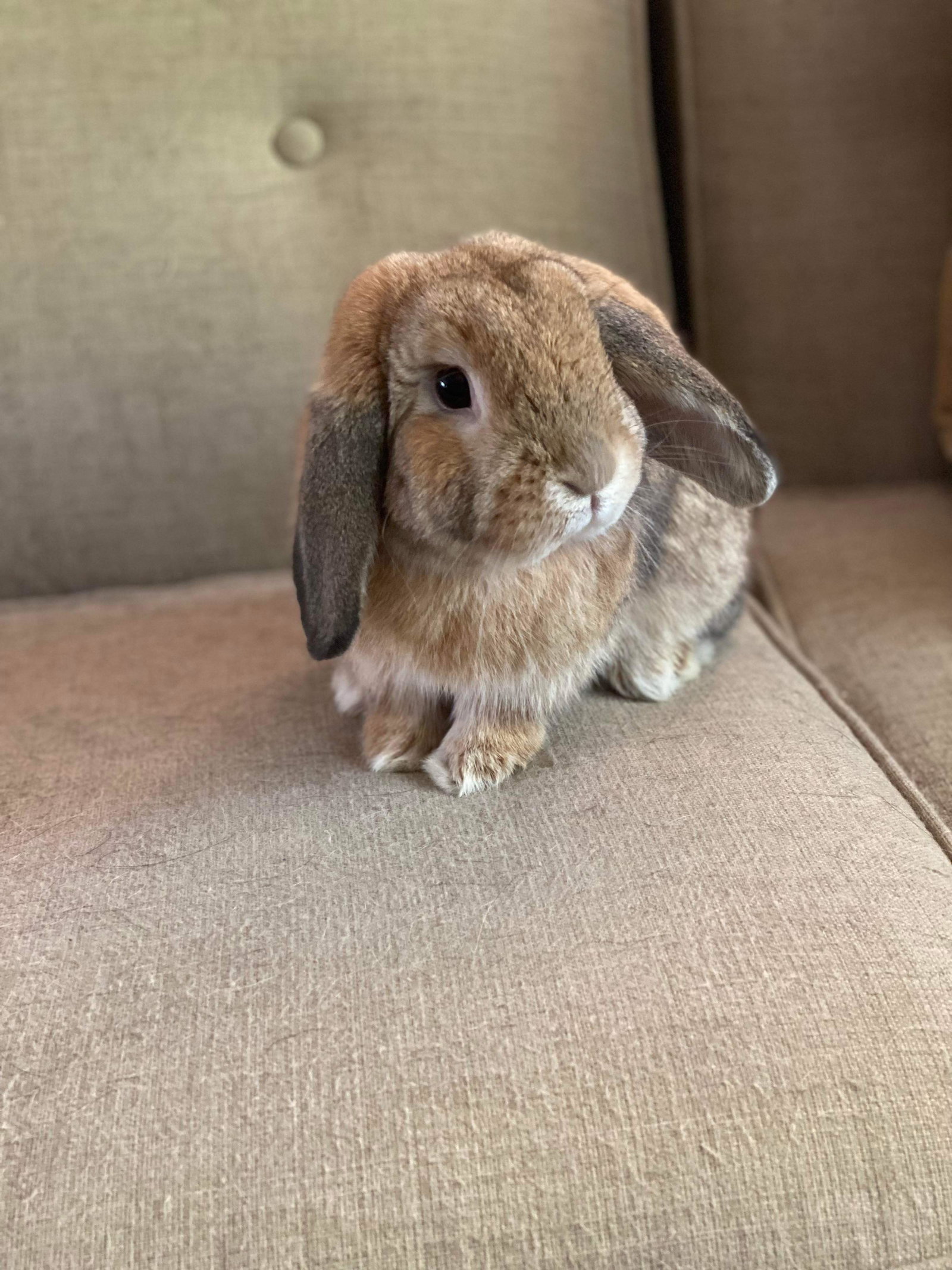 Reginald AKA "Regi", photo 5