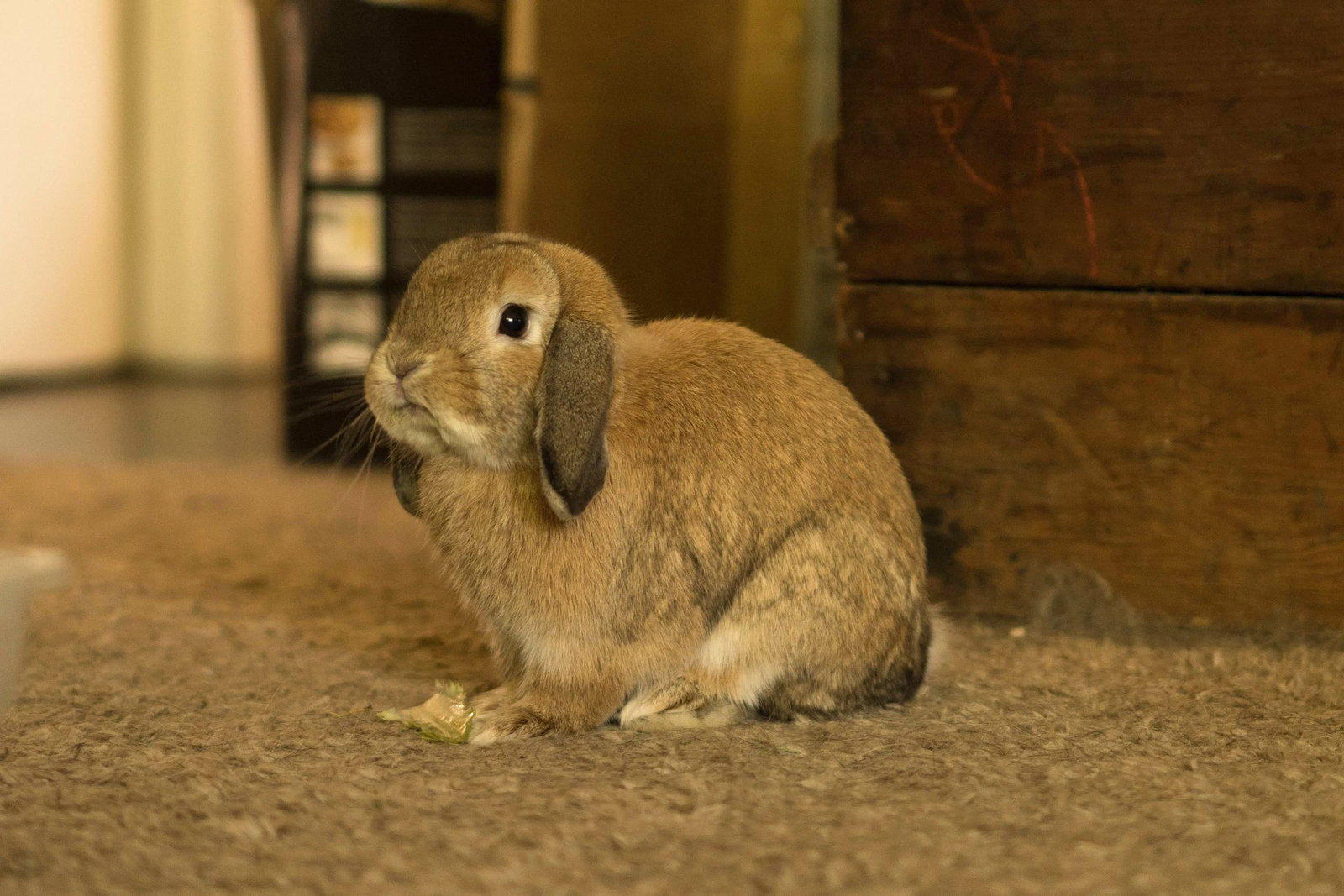Reginald AKA "Regi", photo 7