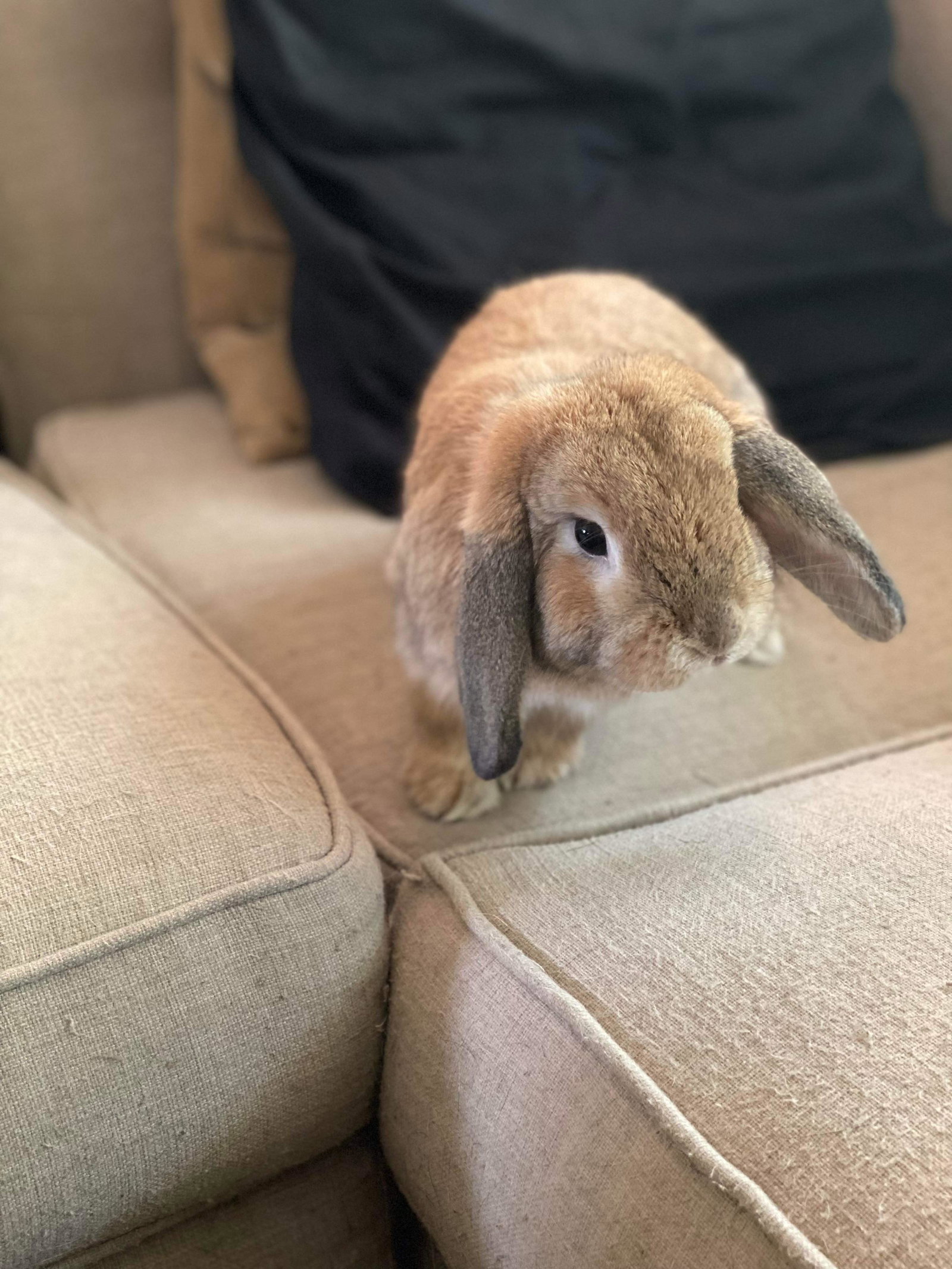 Reginald AKA "Regi", photo 11