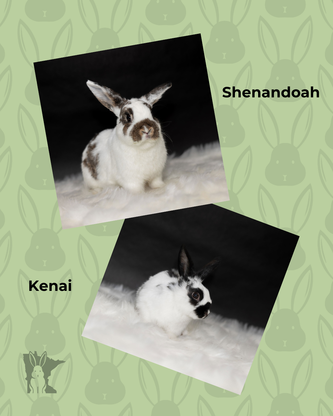 Shenandoah, photo 6