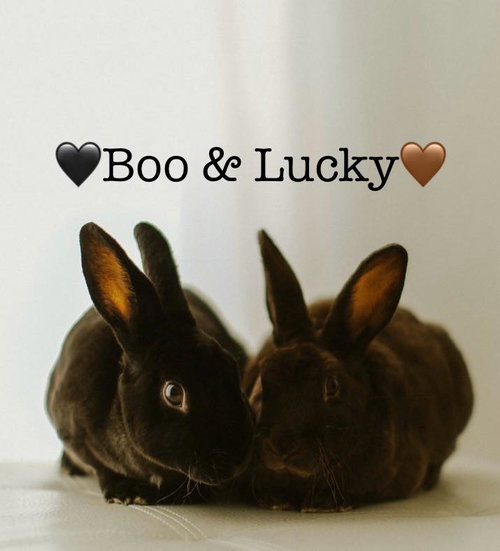 Boo