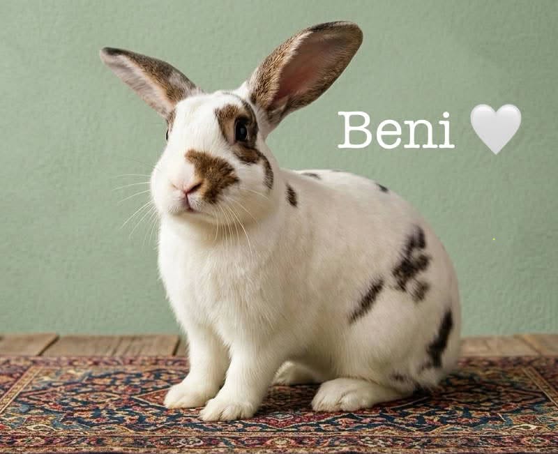 Beni