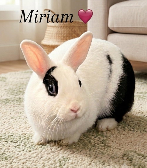 Miriam