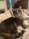 Sam