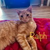 Ralph