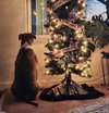 Coco - Photo 6