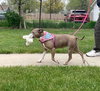 Coco - Photo 5