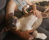 Coco - Photo 7