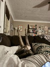 Hoagie - Photo 4