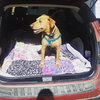 Toby - Photo 2