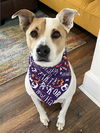adoptable Dog in Fort Collins, CO named Gryffindor