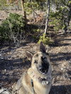 Breck - Photo 4