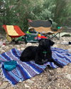 Prairie - Photo 2
