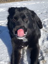 Prairie - Photo 4