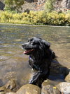 Prairie - Photo 5