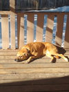 Tyche - Photo 2