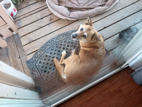 Tyche, photo 4