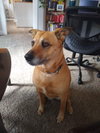 Tyche - Photo 4