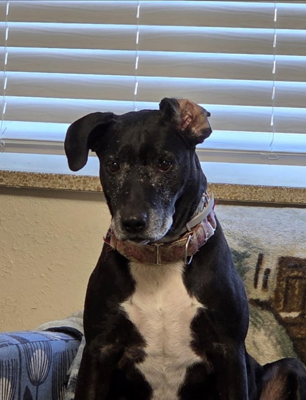 Minnie
