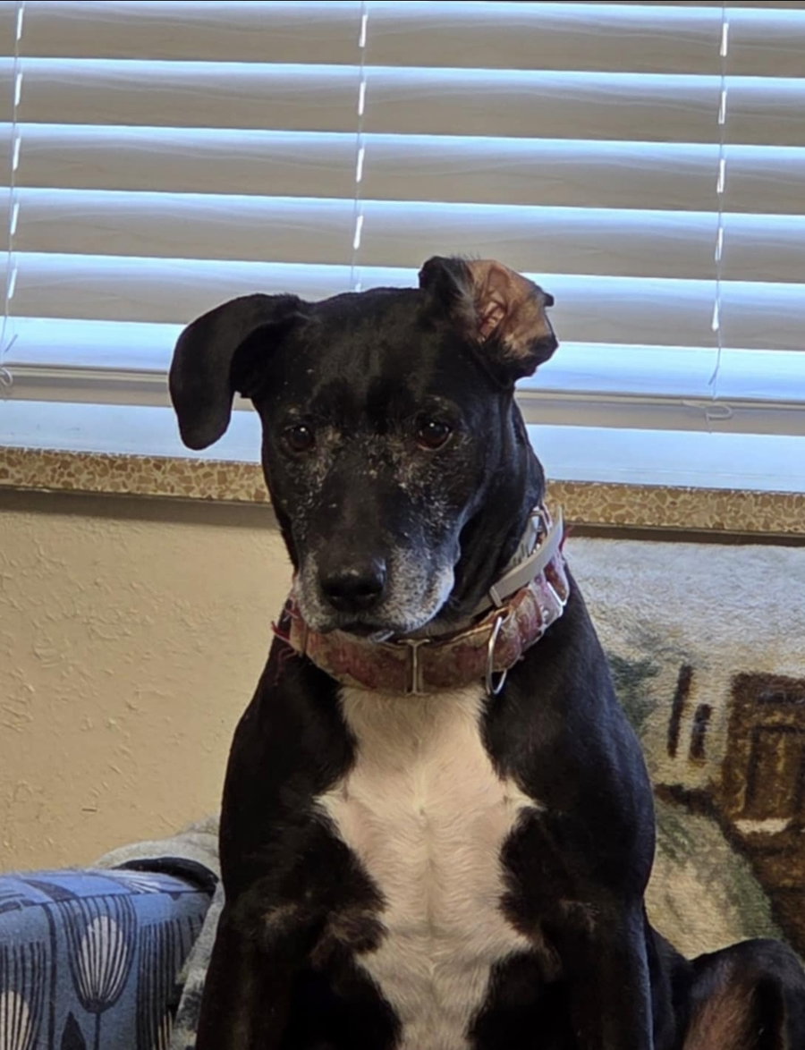 Minnie