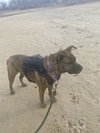Lucky - Photo 3