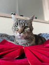 Earlene - Photo 1