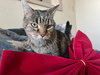 Earlene - Photo 2